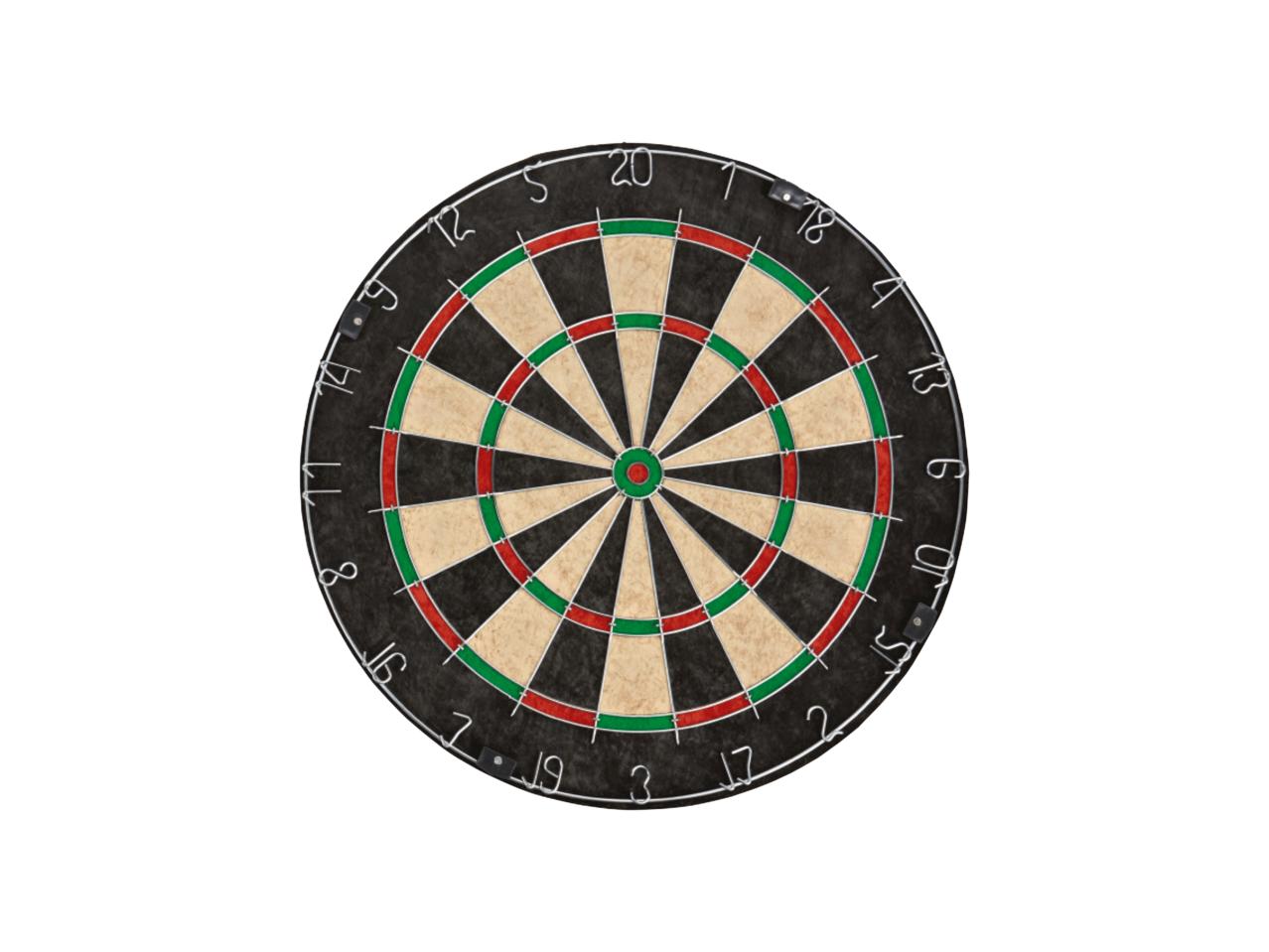 Bristle Dartboard