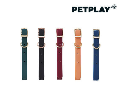 Dog Lead and Collar Assortment