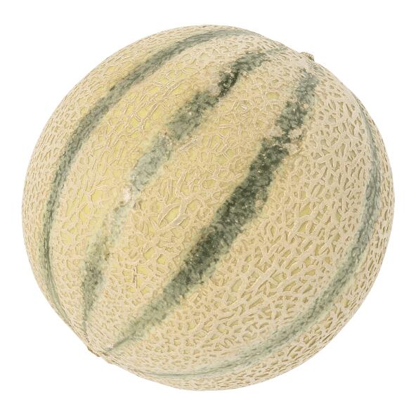 Cantaloupemeloen