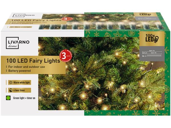 100 LED Fairy Lights