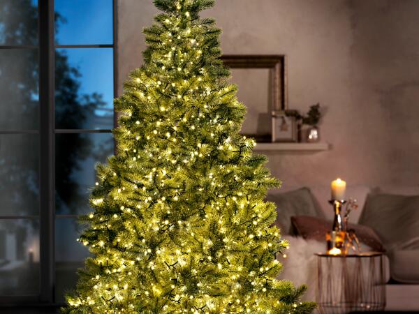 LED Fairy Lights