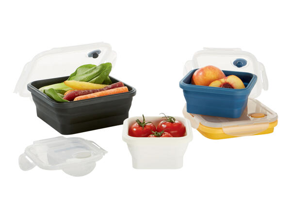 Collapsible Storage Containers