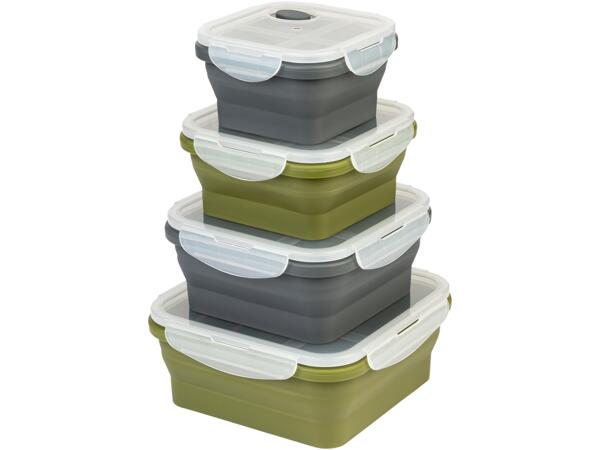 Collapsible Storage Containers
