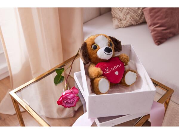 Valentines Soft Toy