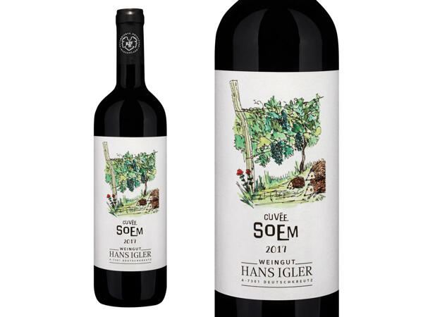 Weingut Hans Igler Cuveé „Soem" 2017