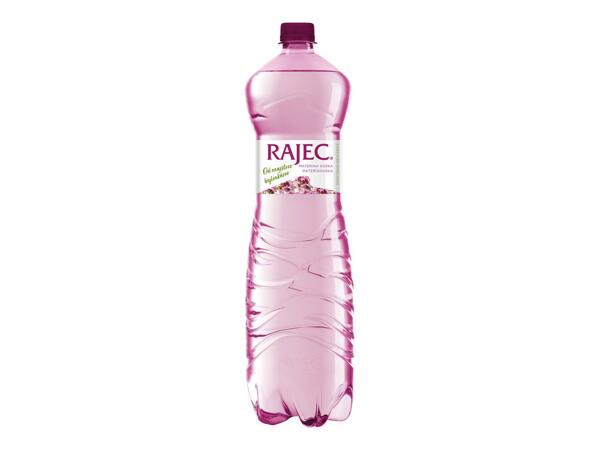 RAJEC