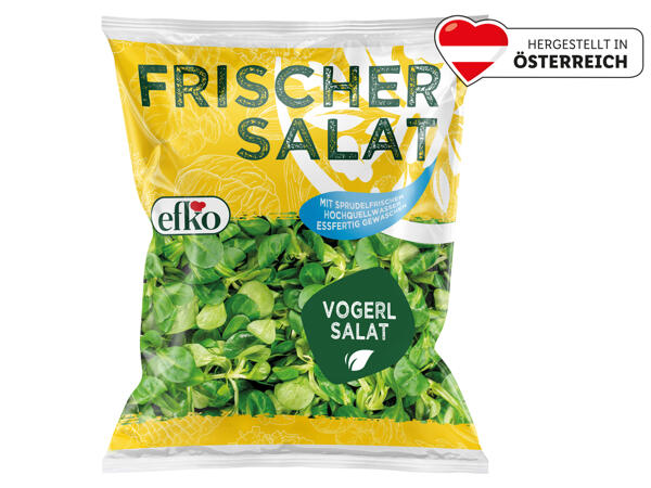 Efko Vogerlsalat