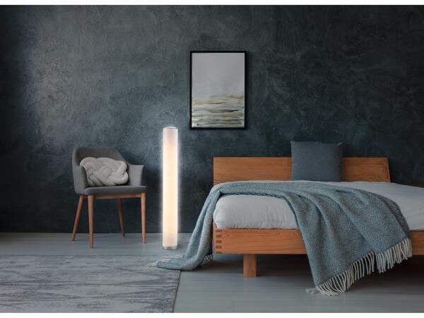 LED Floor Lamp