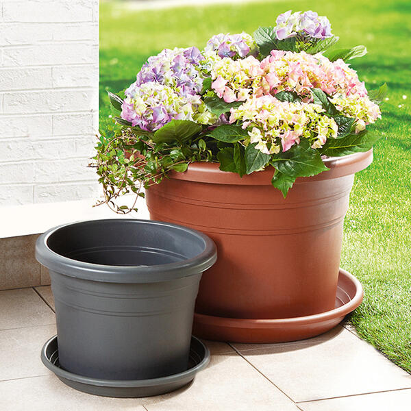 Blumentopf "Cilindro"