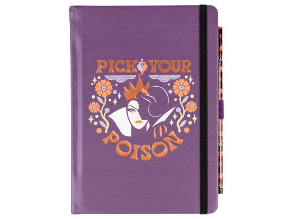 Notebook "Disney"