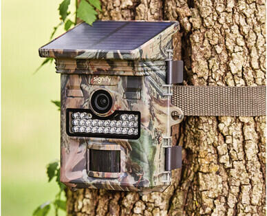 Wildlife Camera with Solar Power