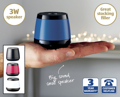 Wireless Speaker Bug