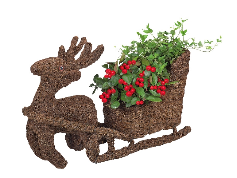 Christmas Reindeer with Sleigh