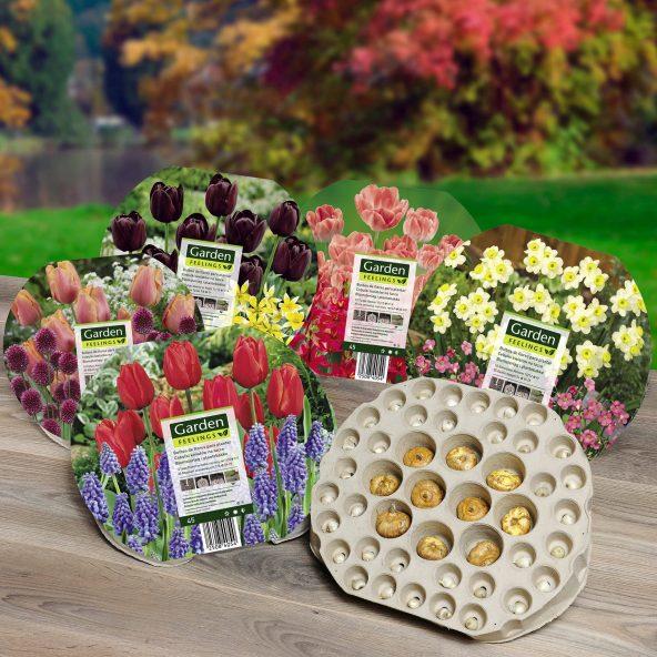 Blomsterløg i plantebakke