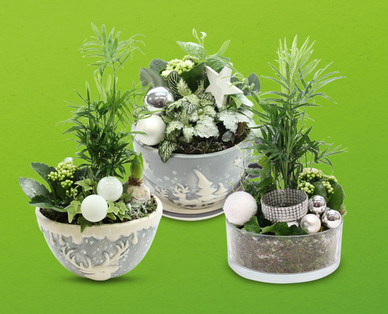 Winterliches Arrangement