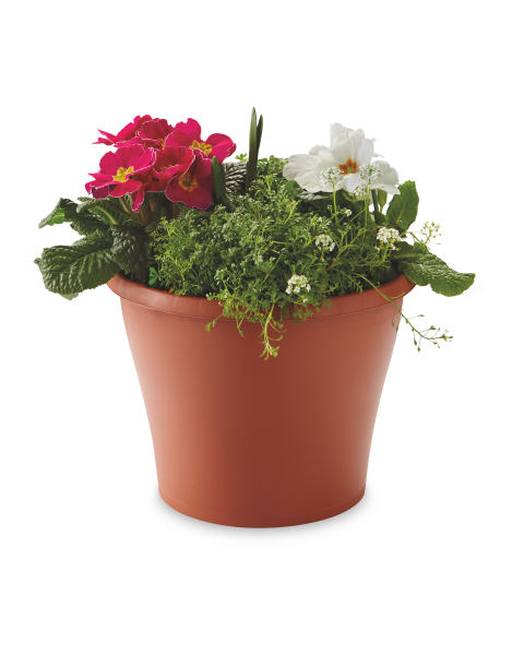 Anthracite Alpine Planter