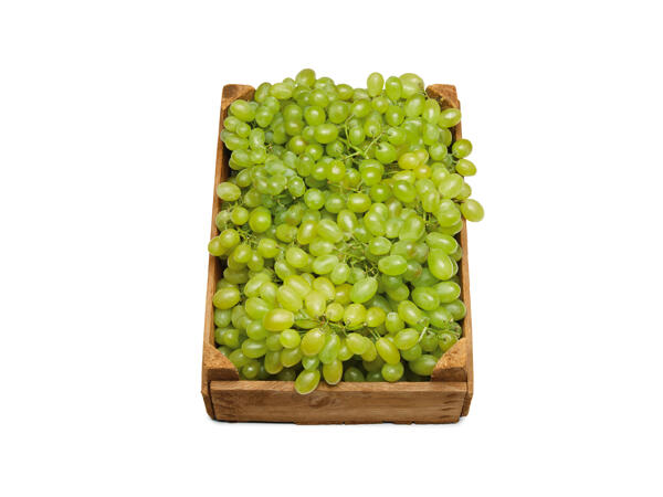 Gröna kärnfria vindruvor