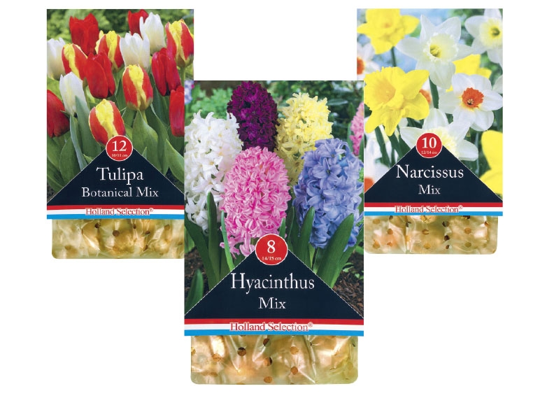Spring Flowering Bulbs