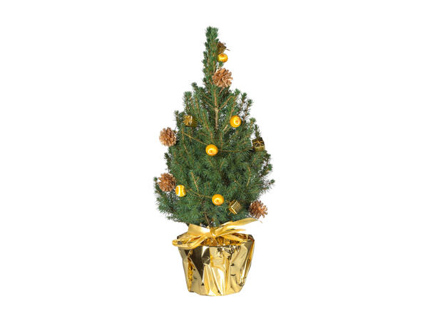 Mini Christmas Tree
