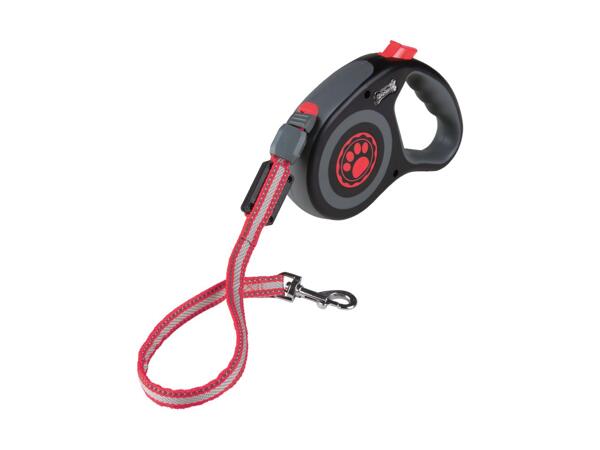 Dog Leash with LEDs