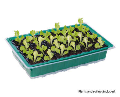 Seed Trays 4pk