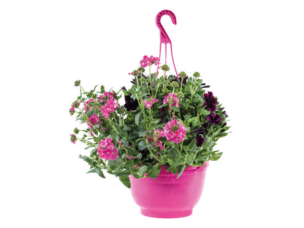 Large Hanging Planters