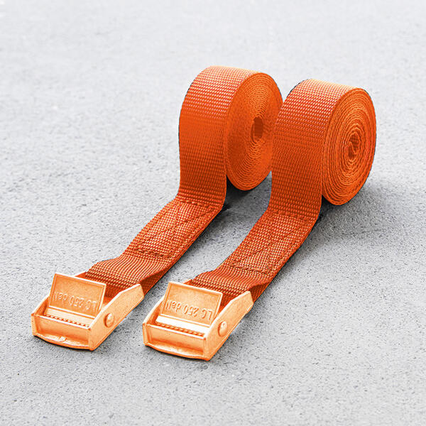 Spanngurte 2er-Set