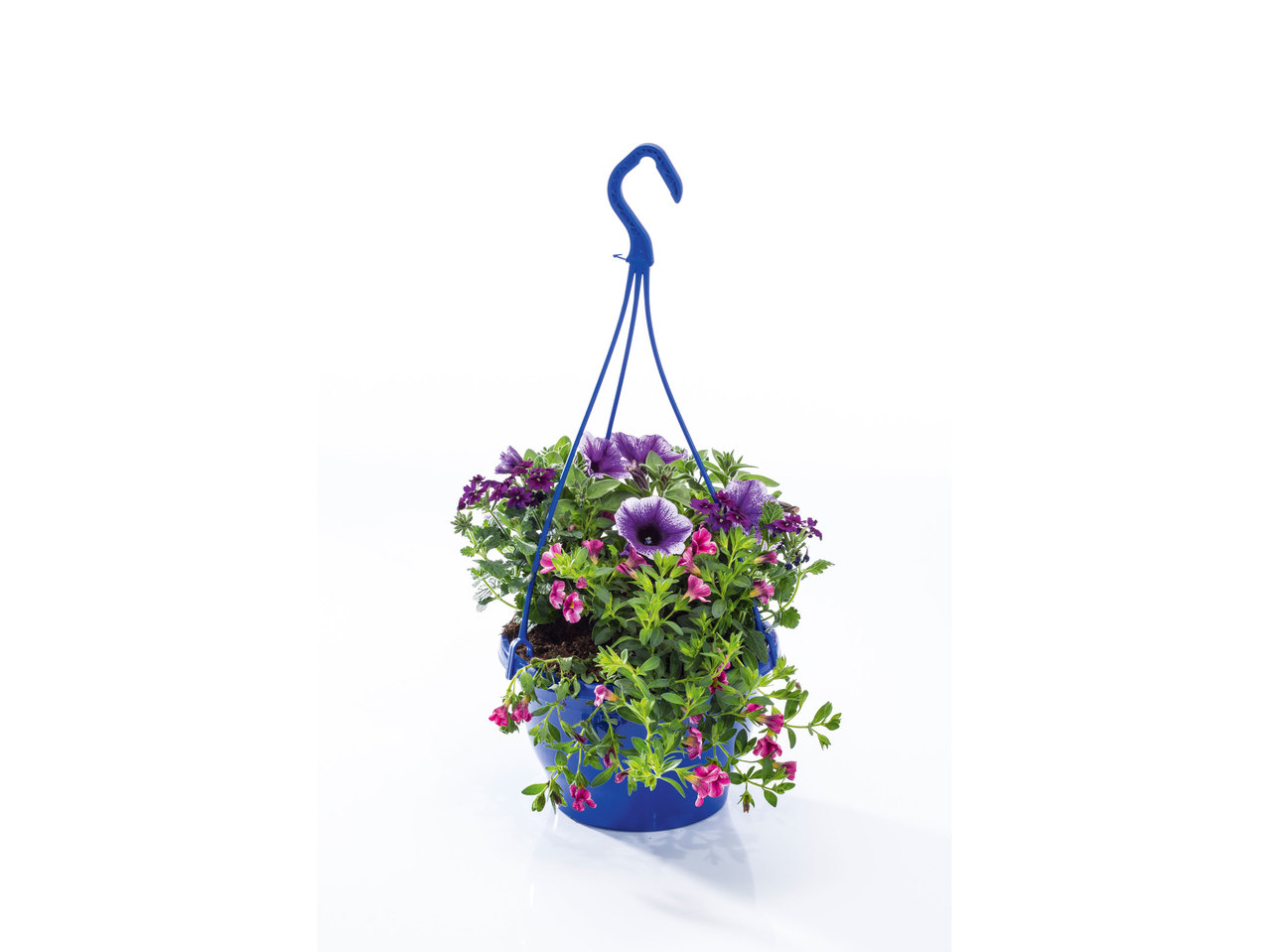 Hangplanten