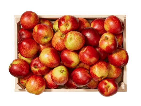 Nectarines