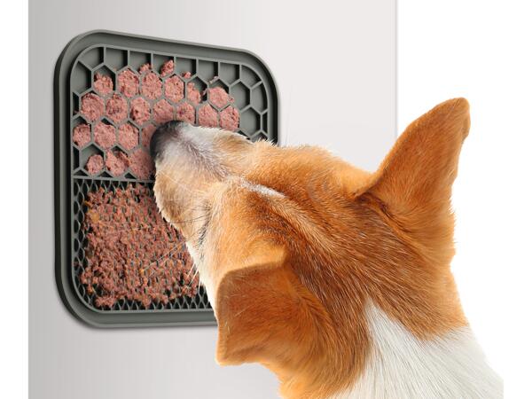 Lick Mat/ Bowl