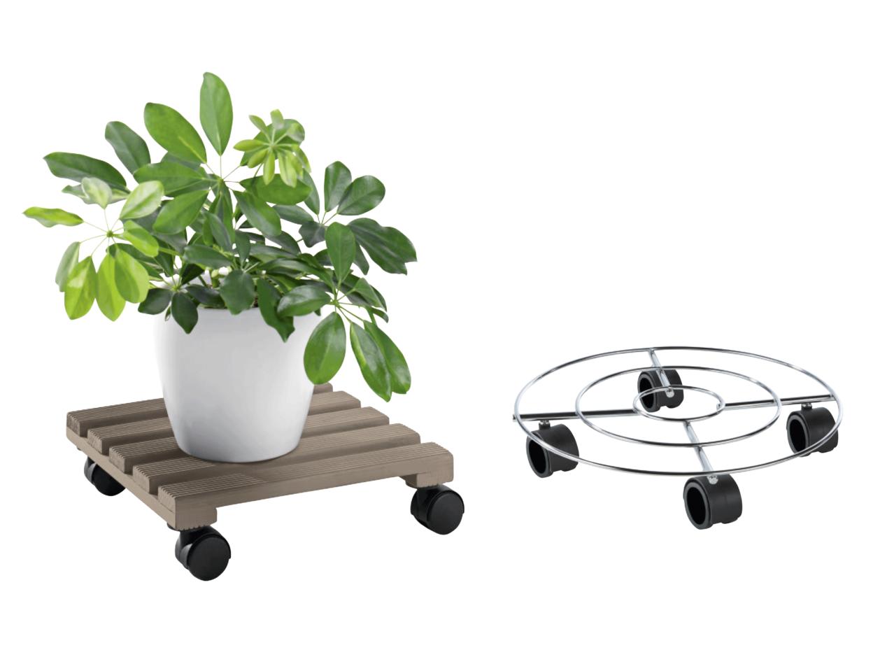Plant Roller