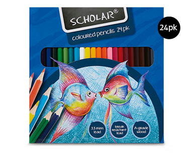 Coloured Pencils 24pk