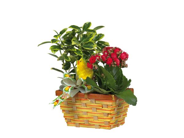 Easter Planter Basket