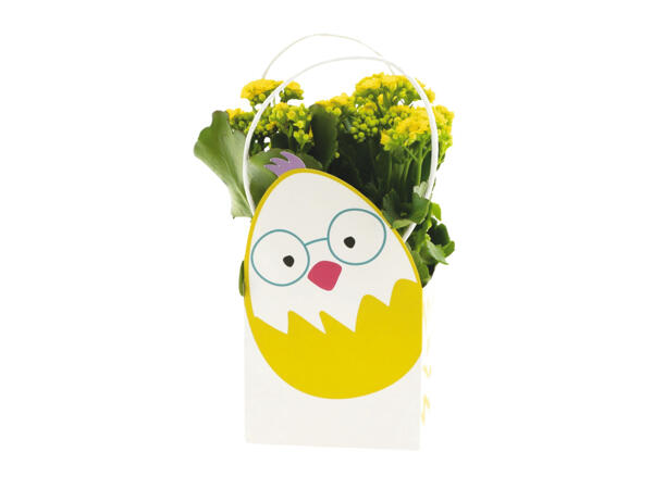 Easter Flowering Bag