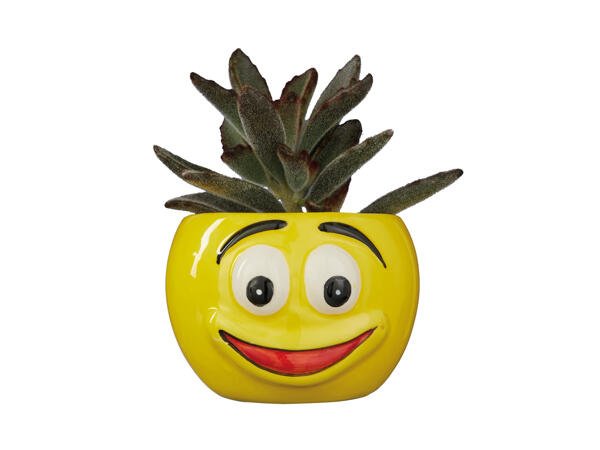 Succulents in Emoji Ceramic