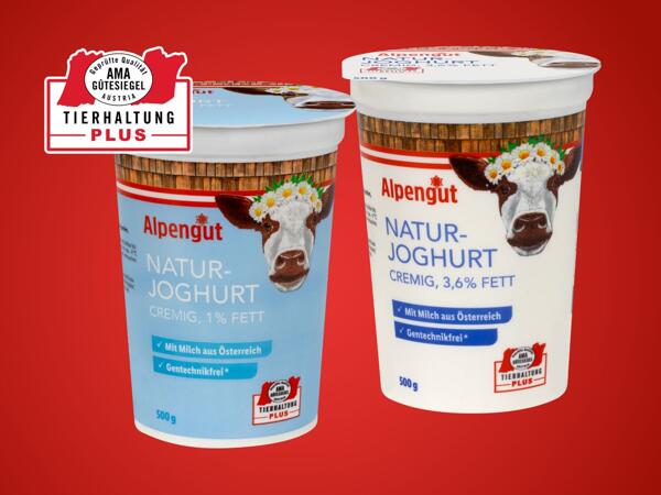 Naturjoghurt
