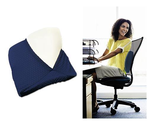 Easy Home 
 Memory Foam Lumbar or Swivel Cushion