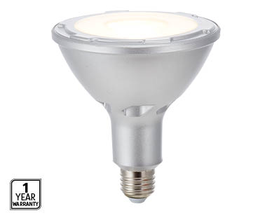 Outdoor LED Par 38