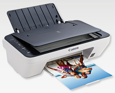 Imprimante 3 en 1 PIXMA MG2950s CANON