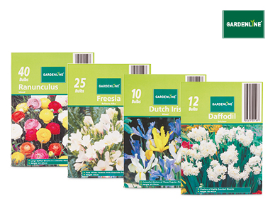 Assorted Packet Bulbs