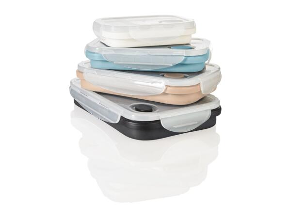 Ernesto Collapsible Rectangular Food Storage Containers - Set of 4