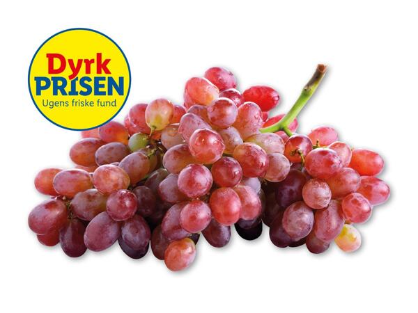 Røde vindruer