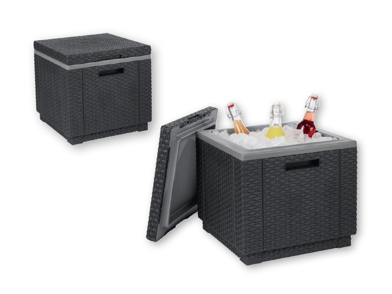 ALLIBERT Garden Storage Box with Cool Function