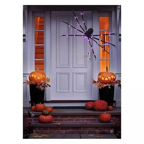 5' Light Up Spider, Black