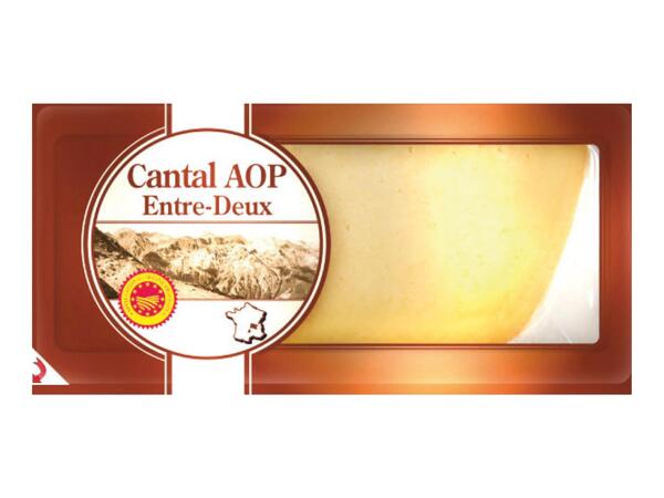 Cantal Cheese AOP