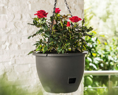 GARDENLINE Blumenampel mit Wasserspeicher