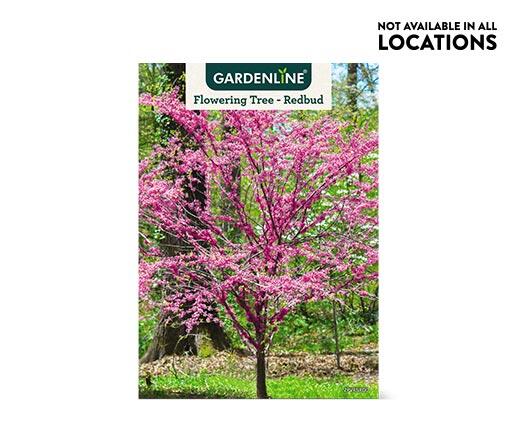 Gardenline 
 Shade or Ornamental Tree Assorted Varieties