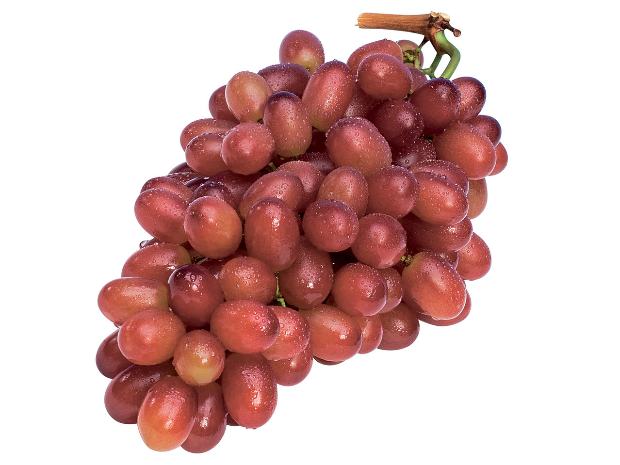 Trauben rot, kernlos