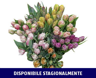 BOUQUET DI TULIPANI