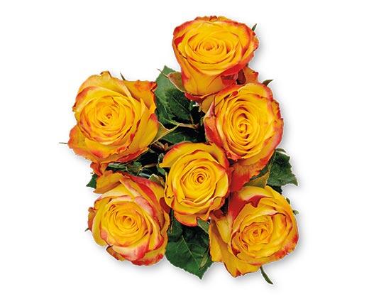 6 Stem Rose Bouquet Assorted Colors
